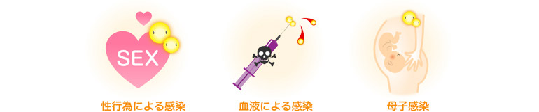 性行為による感染 血液による感染 母子感染