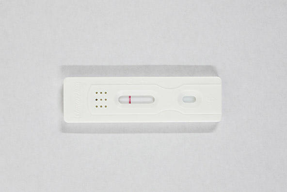 イムノクロマト法で使用するキット