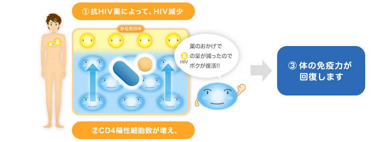 Hiv感染症 エイズの解説 症状や感染経路 検査や治療について Std研究所